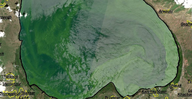Ջրիմուռներով կանաչած Սևանա լճի արբանյակային լուսանկարներ